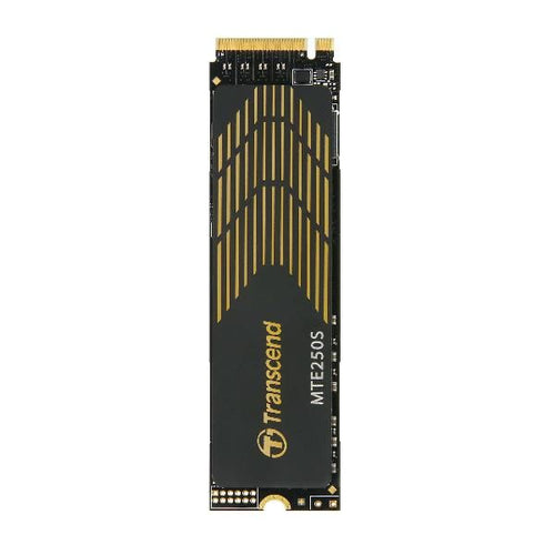 1tb m2 2280 nvme gen4 3d tlc dram - TS1TMTE250S