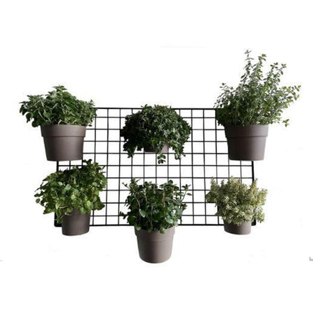 Pannello a parete in rete Comby Green per vasi