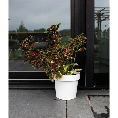 Vaso riserva acqua - GARDEN ID Glamour - Bianco 40 cm - Superficie granulare - Interno/esterno - Design elegante.