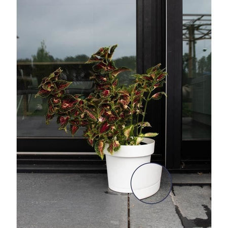 Vaso riserva acqua - GARDEN ID Glamour - Bianco 40 cm - Superficie granulare - Interno/esterno - Design elegante.