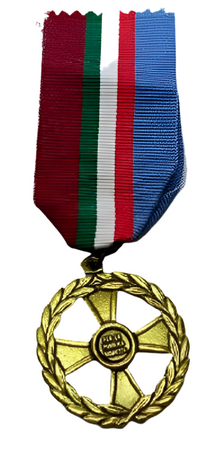 Medaglia Pubblica Sicurezza / Strade Sicure / Domino
