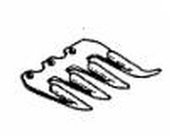 Primo dente completo adattabile BCS Duplex 59027955 e Gribaldi & Salvia