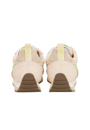 Anekke Sneakers Hollywood multicoloured sneakers da donna