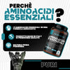 Tutto1