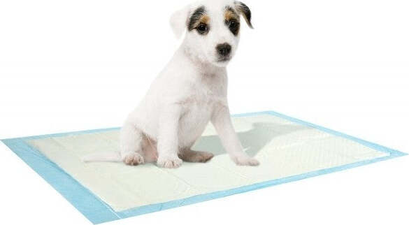 10 TAPPETINI TAPPETINO ASSORBENTE TRAVERSA TRAVERSINA CANE CANI GATTO 90x120cm  Trade Shop italia - Napoli, Commerciovirtuoso.it