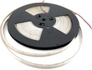 10-W/M-luce-continua-24V-4000K-IP67-Special-white-Videl