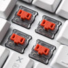 Sharkoon PureWriter TKL RGB Red tastiera Gaming USB QWERTY Inglese US Bianco (Sharkoon PureWriter TKL RGB, gaming ke)
