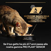 Purina Pro Plan Adult Delicate Umido Gatti con Tacchino 85gr