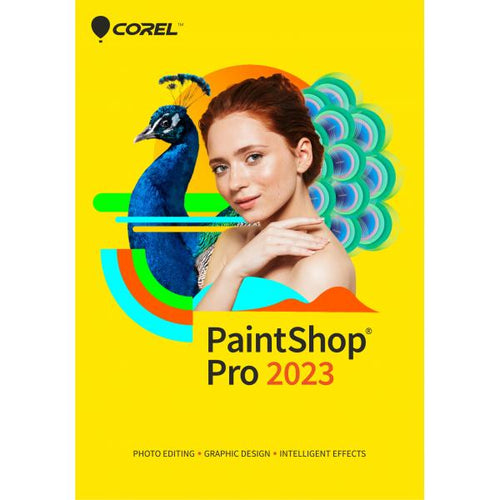Corel PaintShop Pro 2023 Editor grafico 1 licenza/e