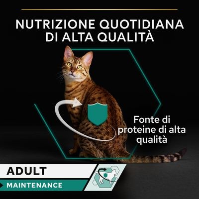 Purina Pro Plan Adult Maintenance Umido Gatti con Pollo 85gr