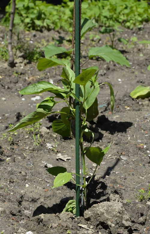 VERDELOOK Tutore reggipiante 210 cm Verde