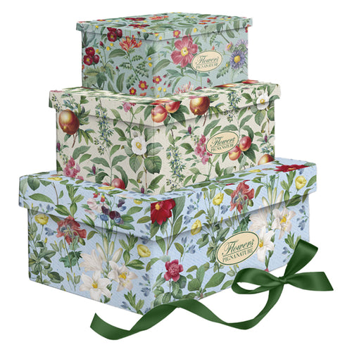 Set 3 Scatole Regalo C/Nastro Nature Flowers Fantasie E Dim. Assortite Pigna