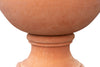 Biscottini Biscottini Vaso Orcio Coppa Terracotta Galestro Toscano Lavorato a Mano 77x87