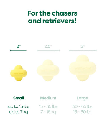 Earth Rated Dog Fetch Toy Gioco per Cani