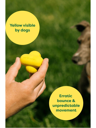 Earth Rated Dog Fetch Toy Gioco per Cani