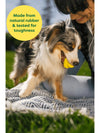 Earth Rated Dog Fetch Toy Gioco per Cani