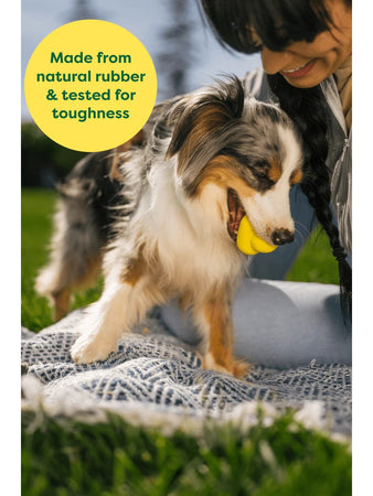 Earth Rated Dog Fetch Toy Gioco per Cani