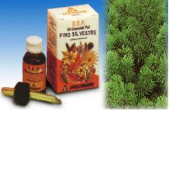 Pino silvestre oe puro 10ml