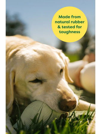 Earth Rated Treat Toy Gioco per Cani