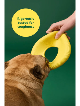 Earth Rated Dog Fly Toy Gioco per Cani