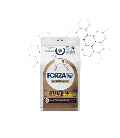 Forza 10 Active Cane Intestinal Colon Fase 1 con Agnello e Sorgo bianco