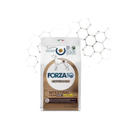 Forza 10 Active Cane Intestinal Colon Fase 1 con Agnello e Sorgo bianco