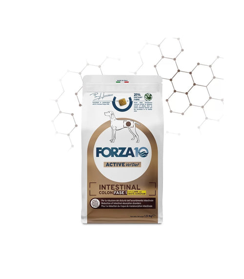 Forza 10 Active Cane Intestinal Colon Fase 1 con Agnello e Sorgo bianco