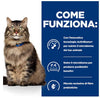 Hill's Prescription Diet Biome Digestive Pollo umido Gatti Adulti Bustina 85 gr