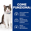 Hill's Prescription Diet Biome Stress Digestive spezzatino Pollo e Verdure umido Gatti Adulti 82 gr