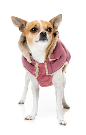 FuzzYard Essential Puffer Piumino per Cani