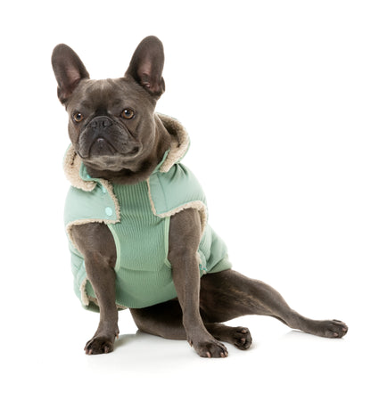 FuzzYard Essential Puffer Piumino per Cani