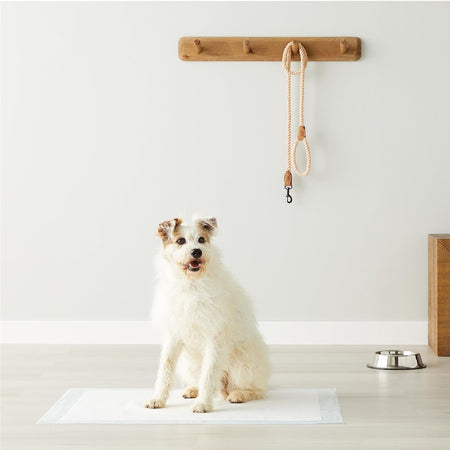 120pz Tappetini Igienici Traversine Cane Super Assorbenti 60x90cm con adesivo