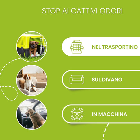 120pz Tappetini Igienici Traversine Cane Super Assorbenti 60x90cm con adesivo