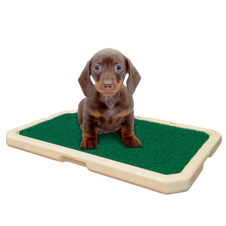 Lettiera per cani Piddle Place