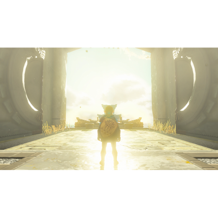 HAC ZELDA TEARS OF KINGDOM