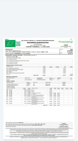 10kg o 5Kg di Arance da Tavola Certificate 100% Siciliane Cassetta Arancia Bio della Sicilia