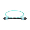Cablenet MPO-12TC4MPO5 cavo InfiniBand e in fibra ottica 5 m Colore acqua (CNL 5M OM4 B12 MPO 12F Aq TRUNK M-B)