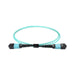 Cablenet MPO-12TC4MPO5 cavo InfiniBand e in fibra ottica 5 m Colore acqua (CNL 5M OM4 B12 MPO 12F Aq TRUNK M-B)