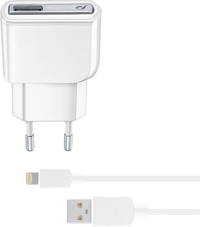 caricabatteria 5w completo di cavo  lighting certificato apple