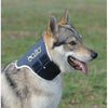 Collare antileccamento per cani Bt Neck Eco