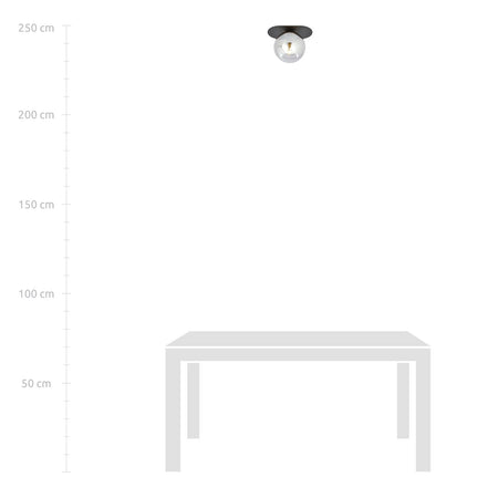 Plafoniera Minimal 1 Luce Plaza In Acciaio Nero E Sfera Vetro Fumè