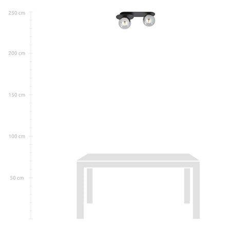 Plafoniera Minimal 2 Luci Plaza In Acciaio Nero E Sfere Vetro Fumè