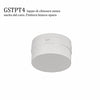 Neon flessibile Gea Led NEON FLEX 360 GST201C LED 2909LM 2.5MT IP66 3000K 24V striscia tubolare soffitto parete driver remoto