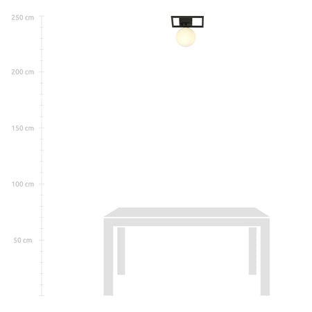 Plafoniera Moderna 1 Luce Imago 1130/1E In Acciaio Nero Vetro Opale