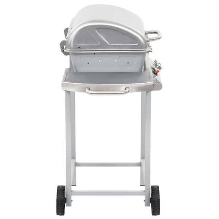 Barbecue a Gas GPL con Griglia 2 Fornelli Argento Acciaio Inox e 2 Ruote