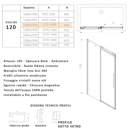 Porta doccia scorrevole fumè anticalcare 195h 8mm EUCLIDE