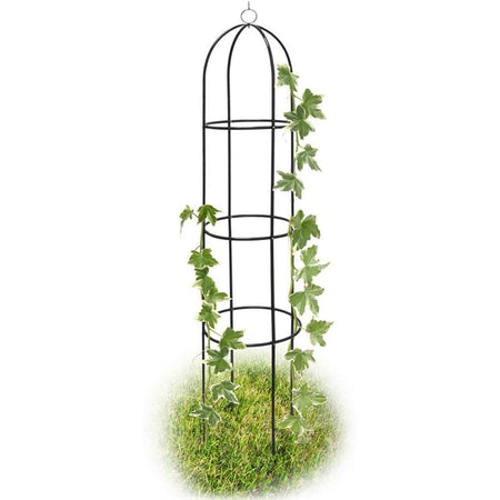 Supporto in Metallo per Piante Rampicanti da Giardino 40x60 H 185cm Verde