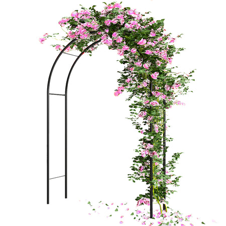 Arco in Ferro da Giardino per Piante Rampicanti Decorazione Terrazzo 140x240 cm