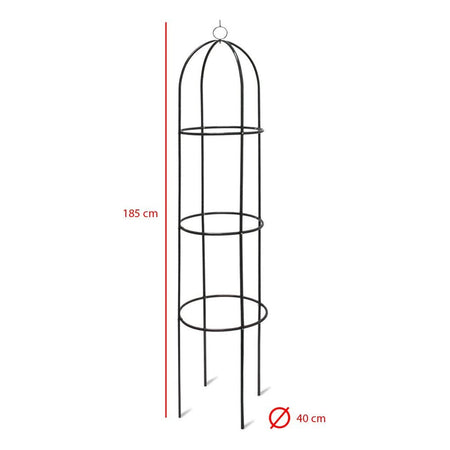 Supporto in Metallo per Piante Rampicanti da Giardino 40x60 H 185cm Verde