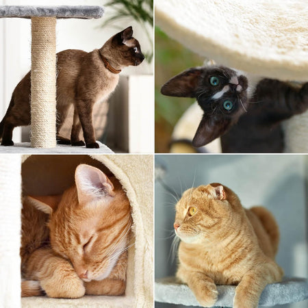 Albero Tiragraffi Gatti Giochi Cuccia Amaca Graffiatoio 74.5x40 H142cm Grigio